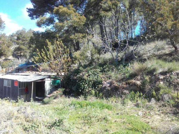 Terreno en calle Cellera de Ter photo 3