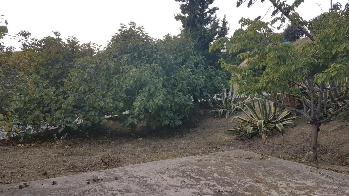 Terreno en venta en Piera, Barcelona photo 5