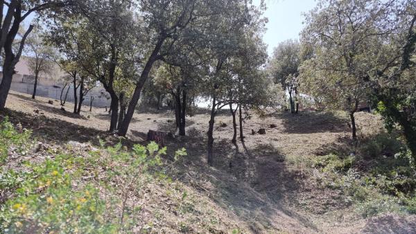Terreno en Camelia, 12 photo 1