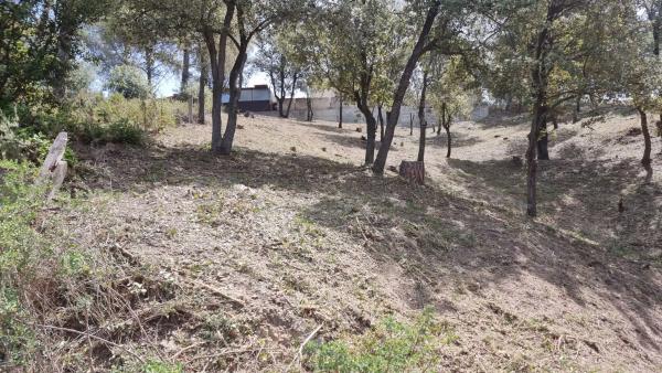 Terreno en Camelia, 12 photo 2