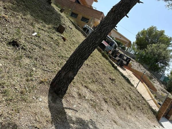 Terreno en Camelia, 12 photo 4