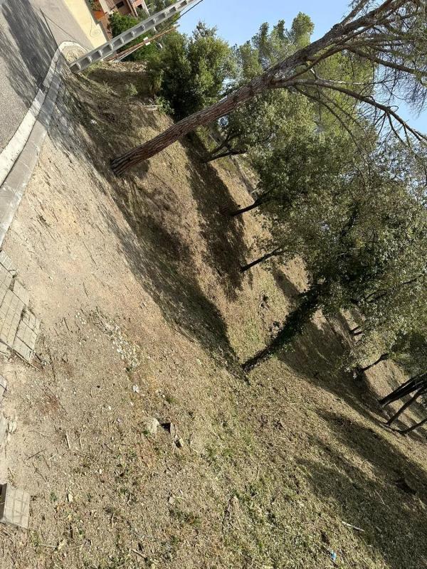 Land for sale in Piera, Barcelona photo 5