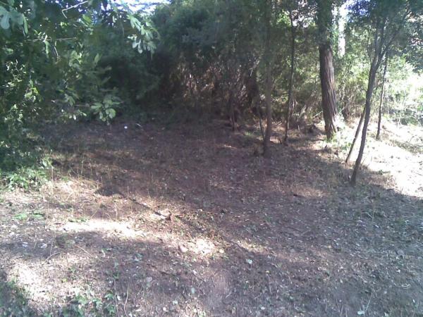 Terreno en calle de s,agaro parcela 420, 420 photo 2