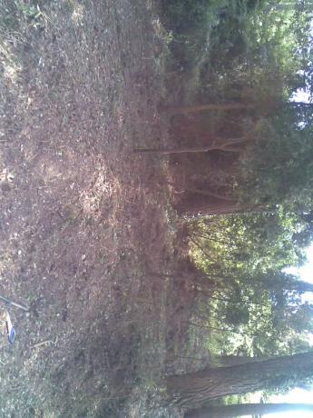 Terreno en calle de s,agaro parcela 420, 420 photo 3