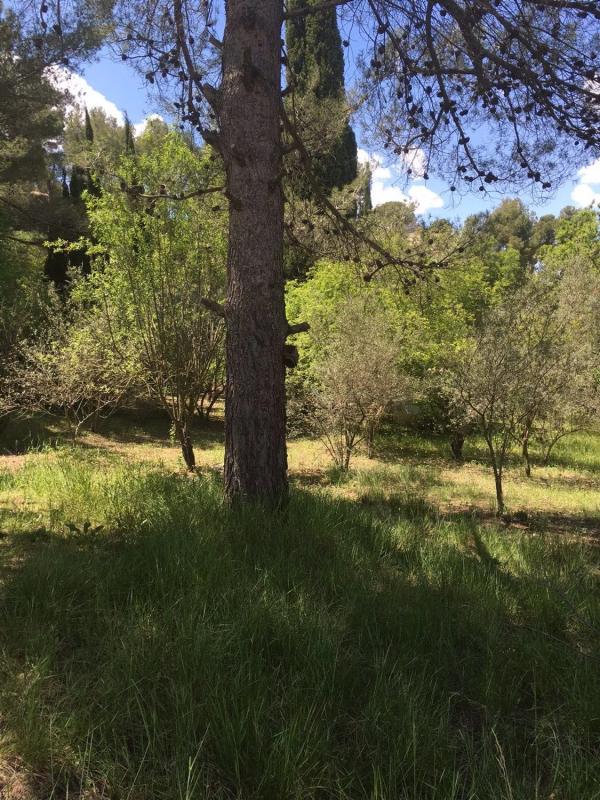 Land for sale in Piera, Barcelona photo 2