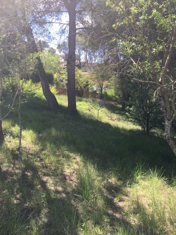 Land for sale in Piera, Barcelona photo 3