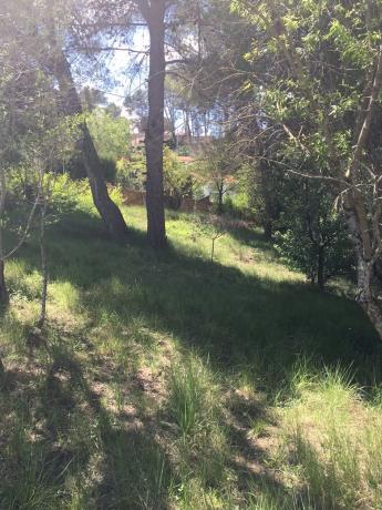 Terreno en calle cirerer, 6 -8 photo 3