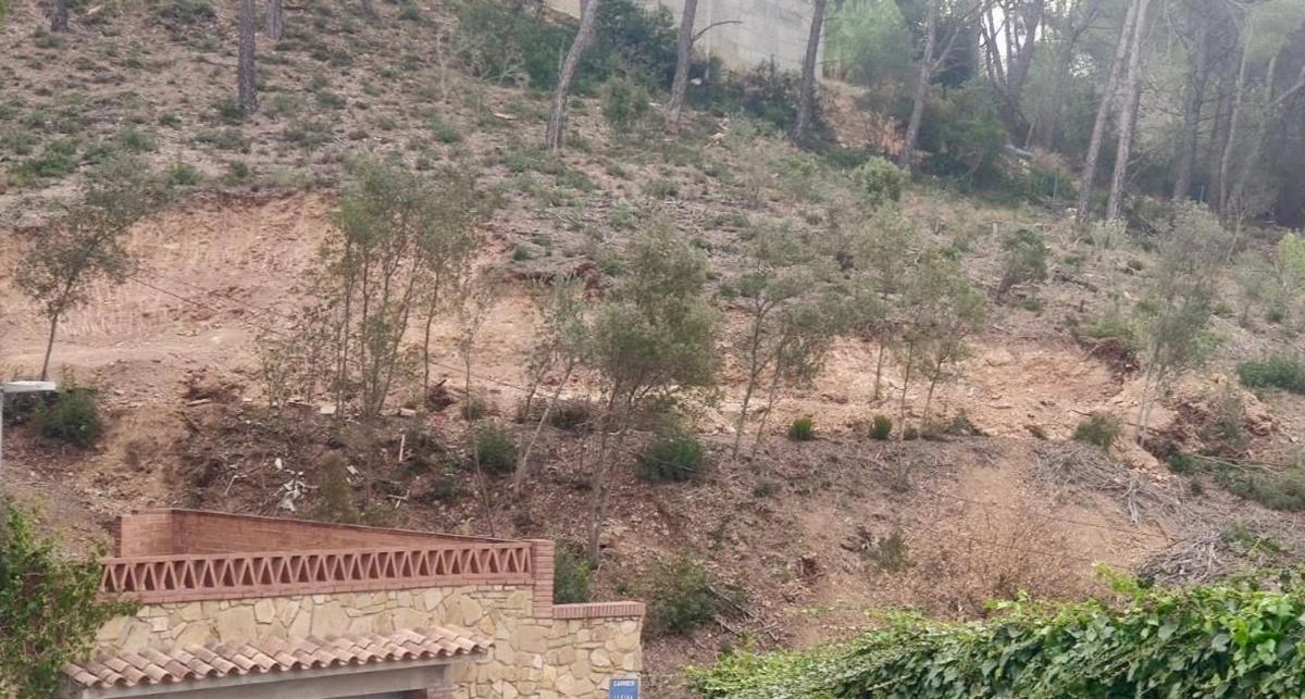 Land for sale in Cabrera de Anoia, Barcelona photo 1