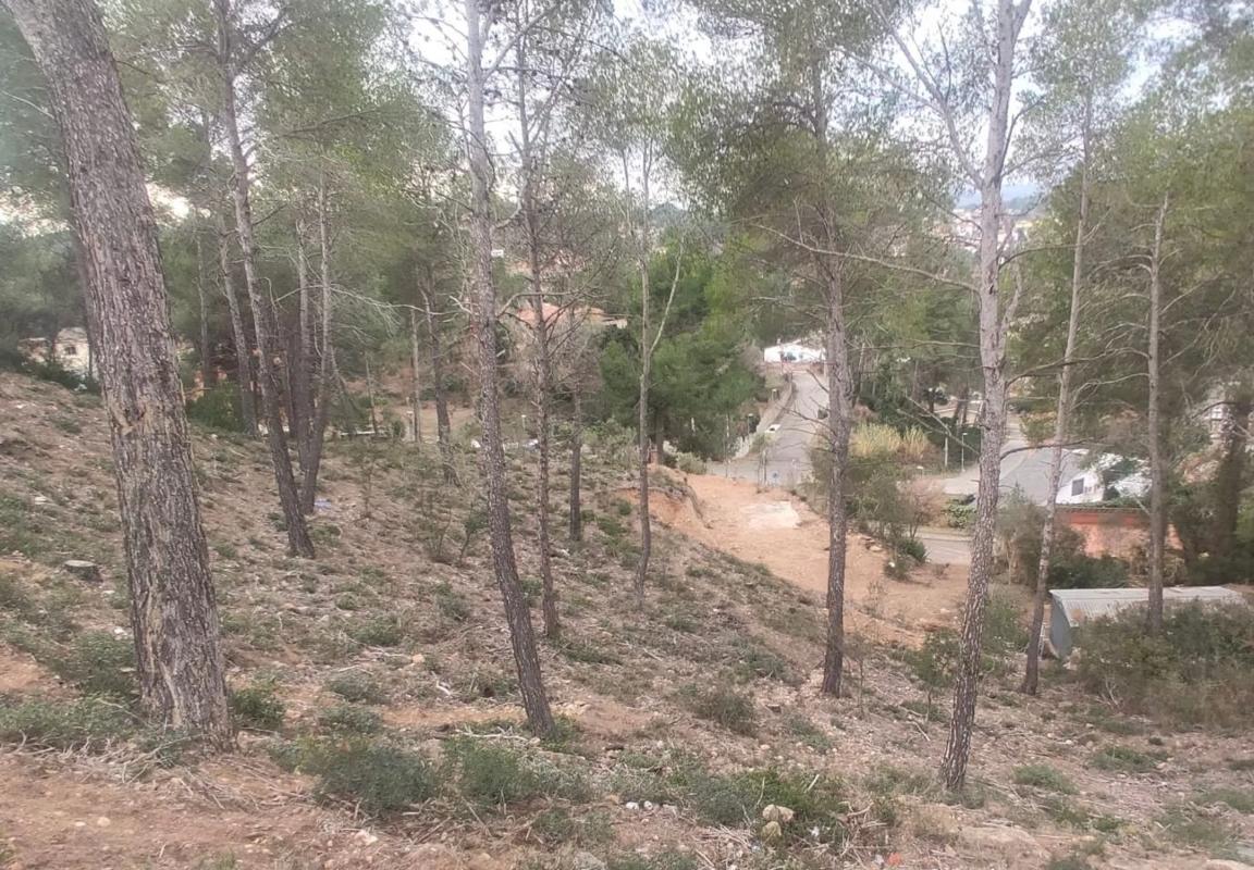 Land for sale in Cabrera de Anoia, Barcelona photo 3