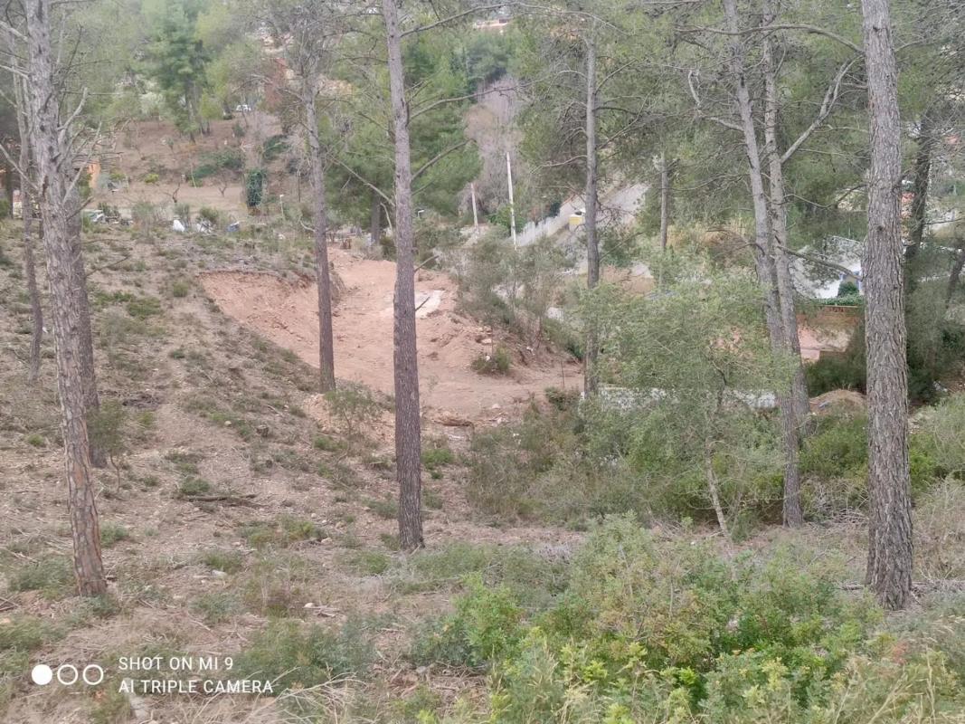 Land for sale in Cabrera de Anoia, Barcelona photo 4