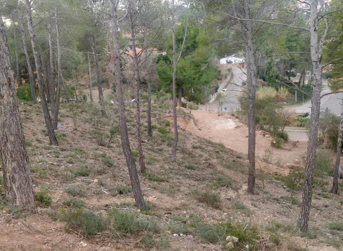 Land for sale in Cabrera de Anoia, Barcelona photo 5