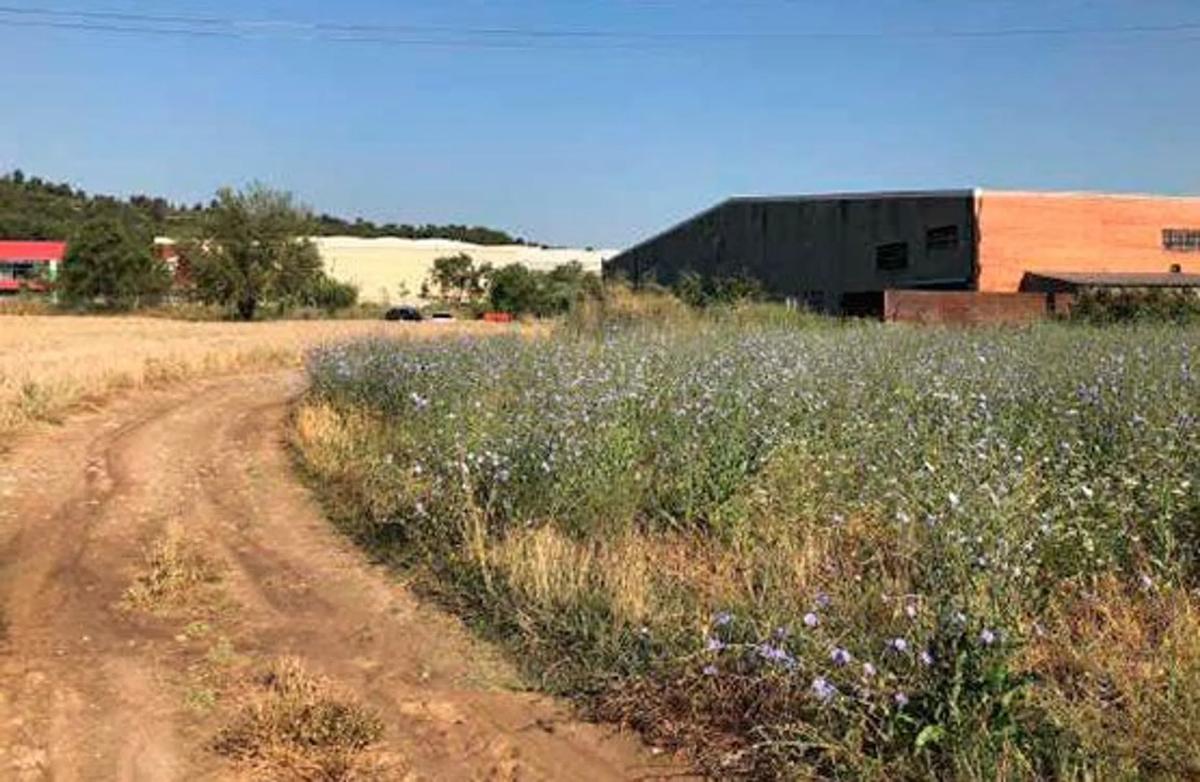 Участок земли на продажу в Сант-Висенс-де-Кастельет, Барселона photo 3