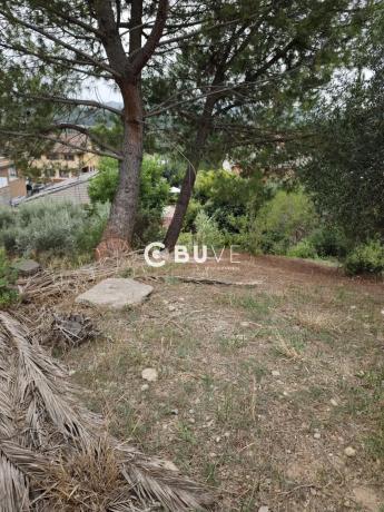 Terreno en calle 6 photo 2