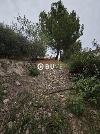 Terreno en calle 6 photo 4