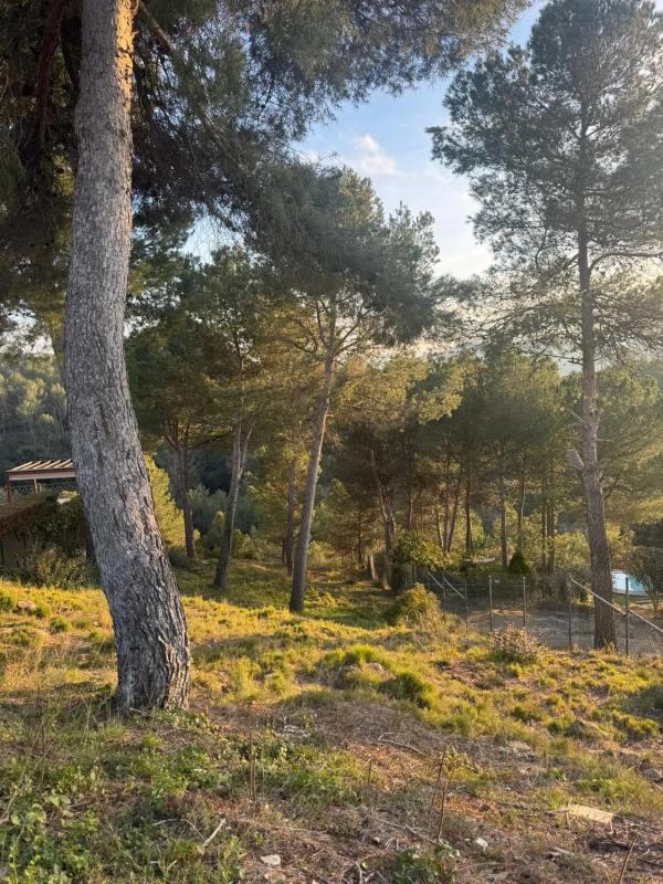 Terreno en venta en Castellnou de Bages, Barcelona photo 4