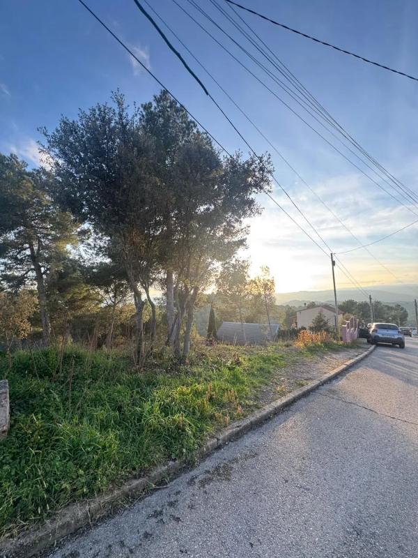 Terreno en venta en Castellnou de Bages, Barcelona photo 5