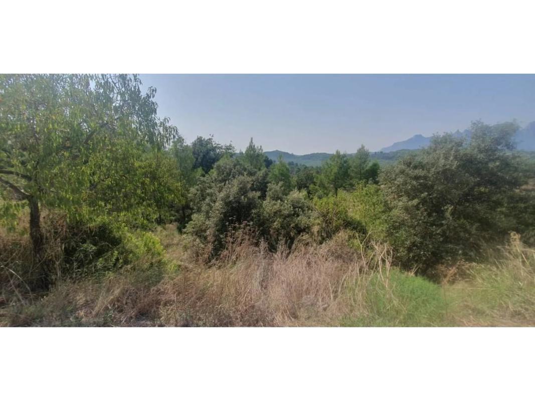 Terreno en venta en Castellgalí, Barcelona photo 4