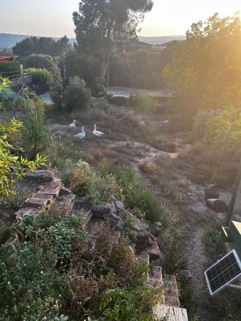 Terreno en calle Lladoner s/n sn photo 3