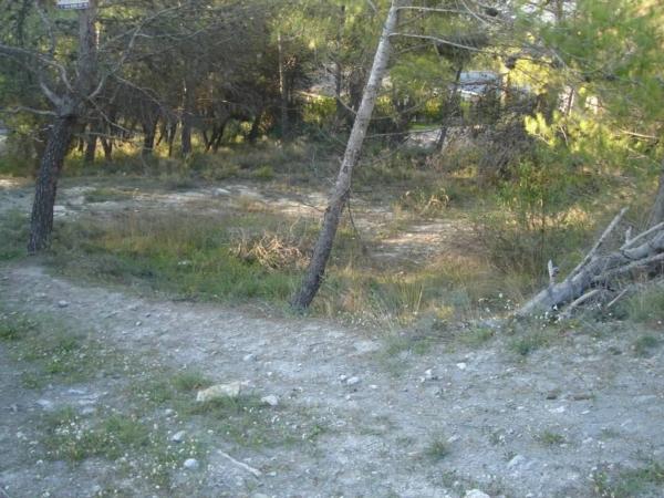 Terreno en calle del Mas Enric photo 4