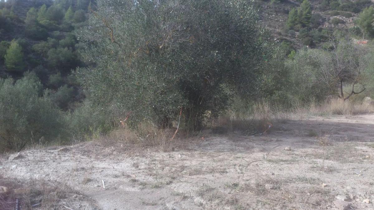 Działka na sprzedaż w Manresa, Barcelona photo 1