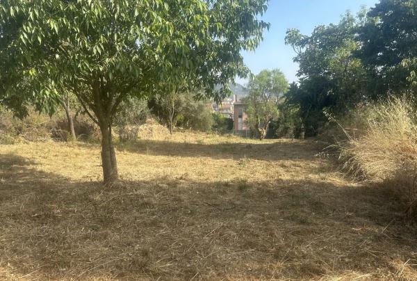 Terreno en calle Sant Cristòfol photo 1