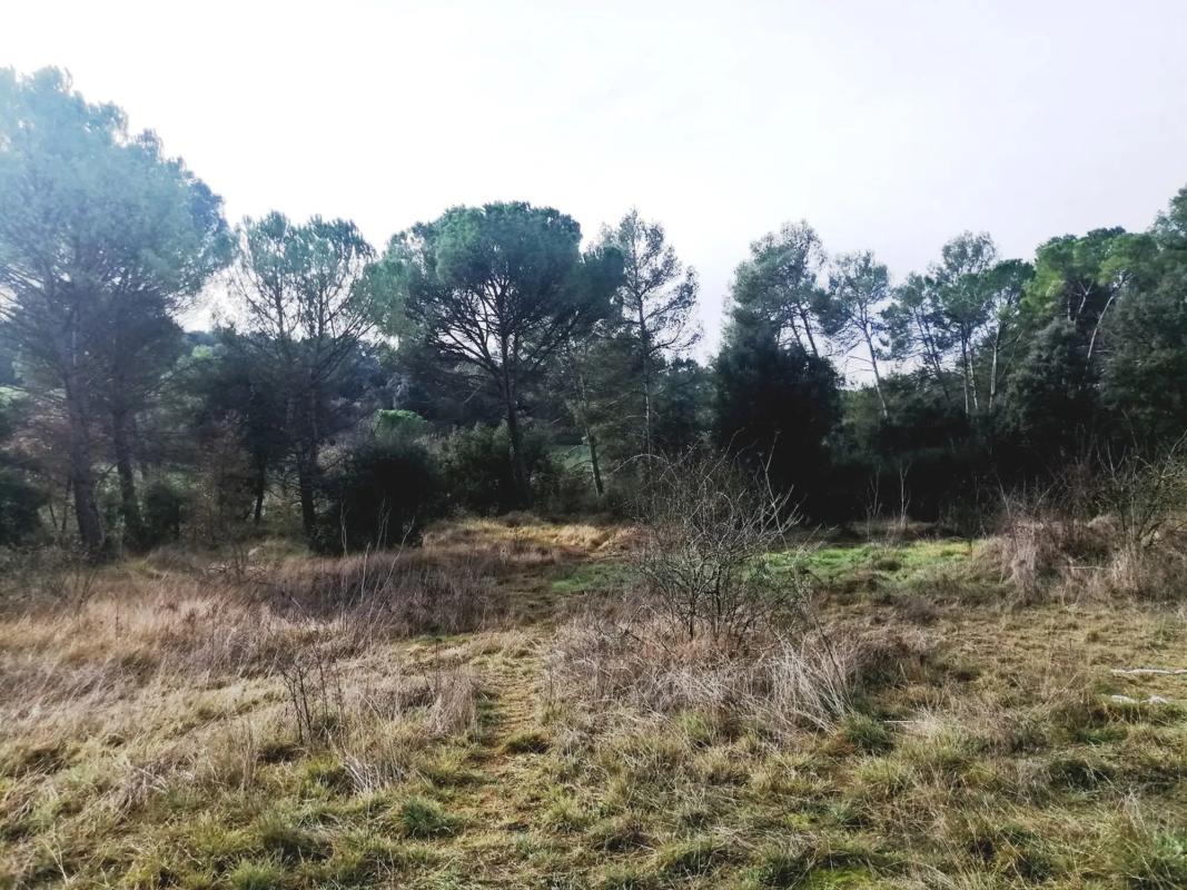 Terreno en venta en Castellnou de Bages, Barcelona photo 2