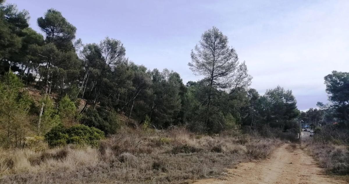 Terreno en venta en Castellnou de Bages, Barcelona photo 3