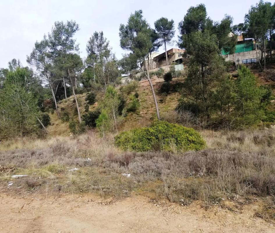 Terreno en venta en Castellnou de Bages, Barcelona photo 4