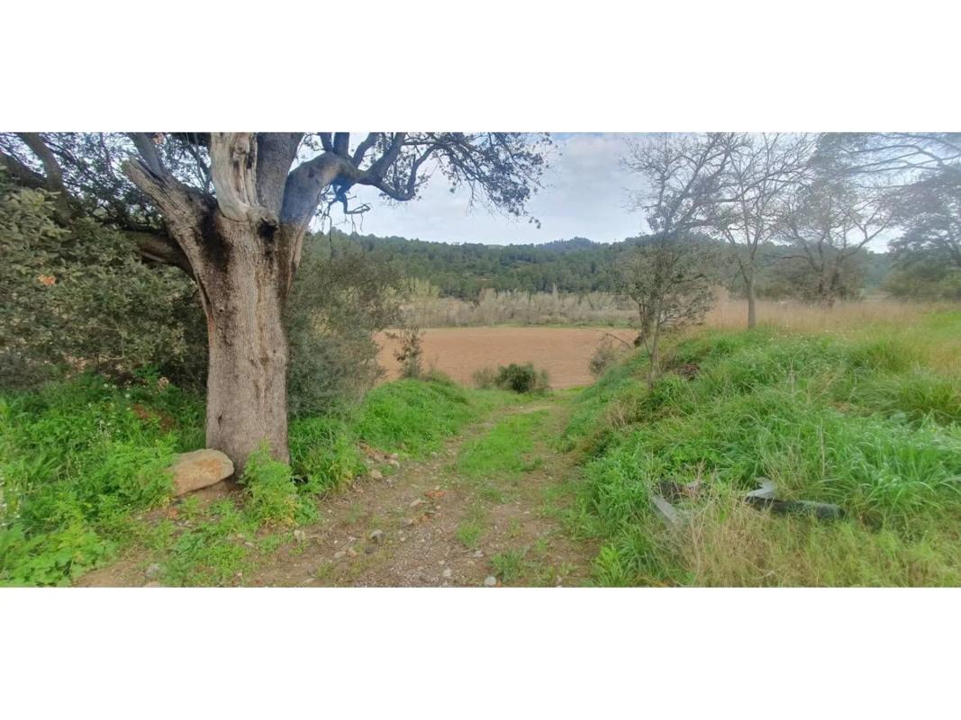 Terreno en venta en Castellgalí, Barcelona photo 4