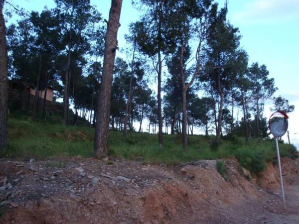 Terreno en Castellnou de Bages photo 2