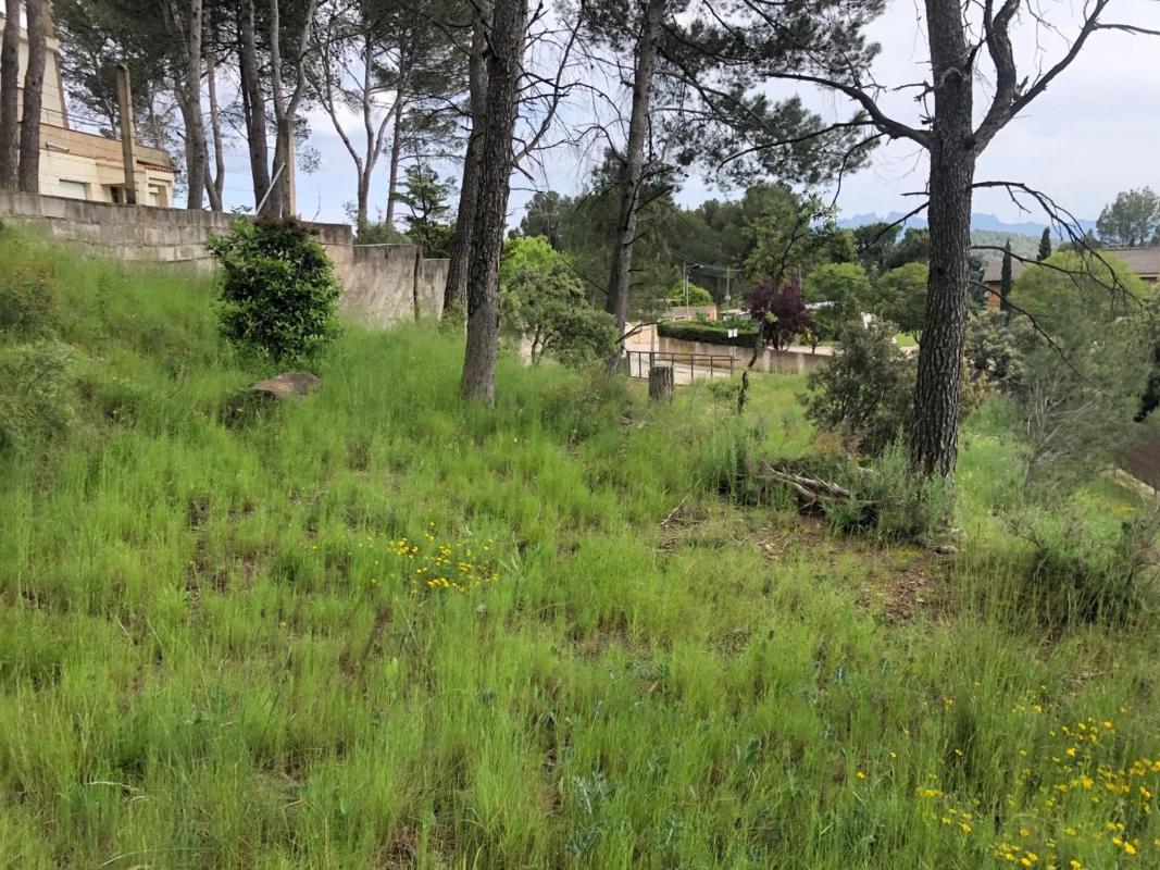 Terreno en venta en Castellnou de Bages, Barcelona photo 2