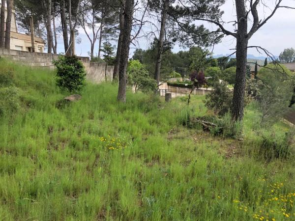 Terreno en Castellnou de Bages photo 2