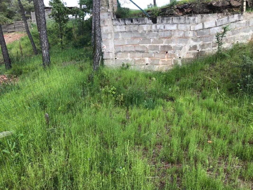 Terreno en venta en Castellnou de Bages, Barcelona photo 3