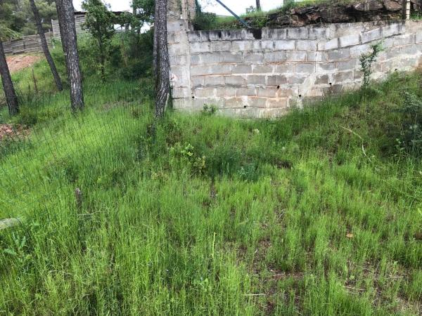 Terreno en Castellnou de Bages photo 3