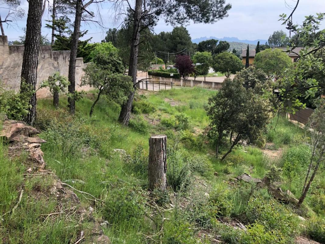 Terreno en venta en Castellnou de Bages, Barcelona photo 4