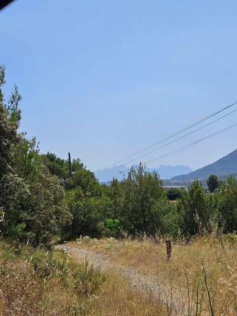 Terreno en Callús photo 1