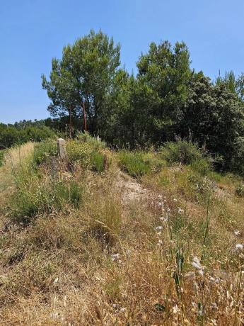 Terreno en Callús photo 2