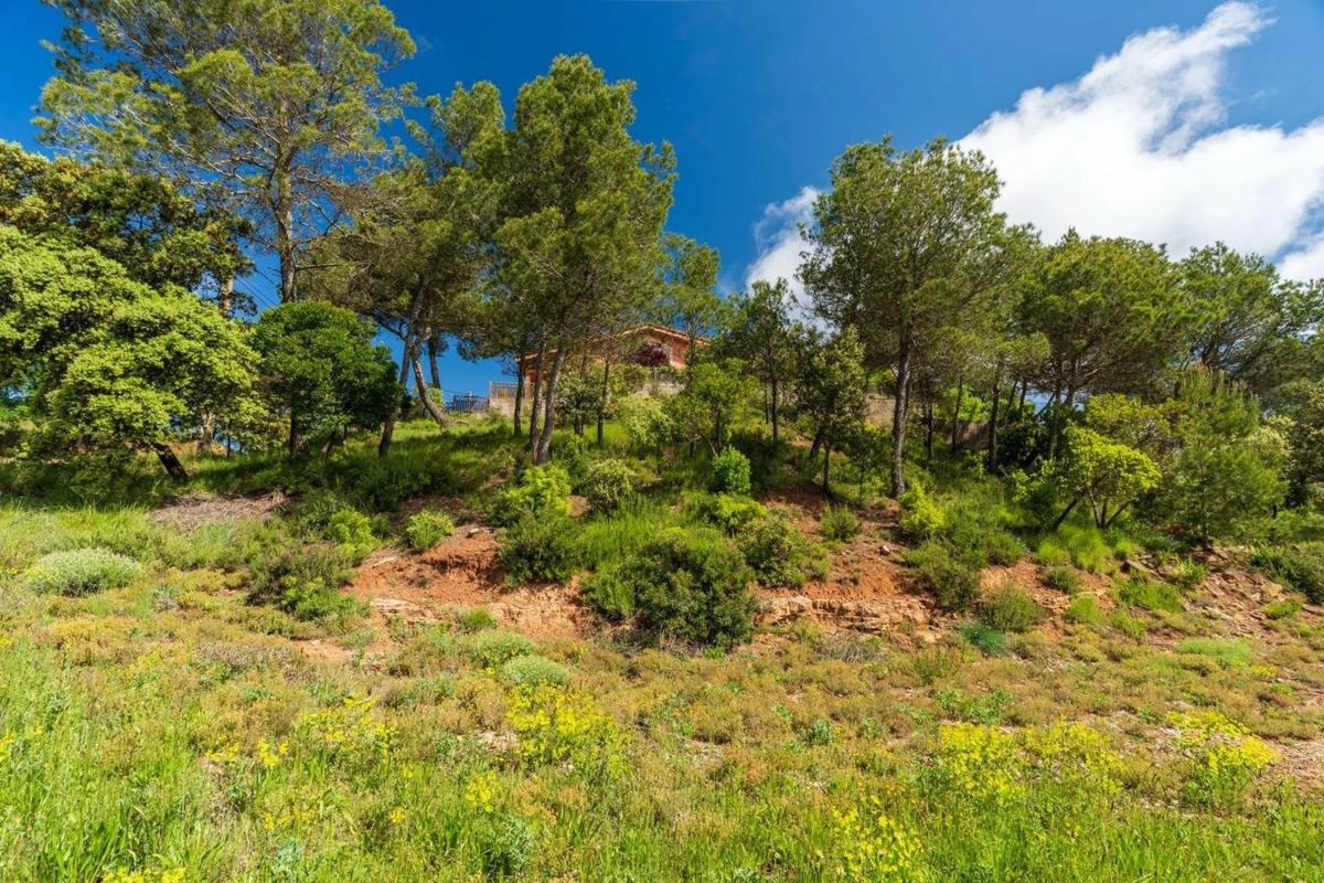 Działka na sprzedaż w Castellnou de Bages, Barcelona photo 4
