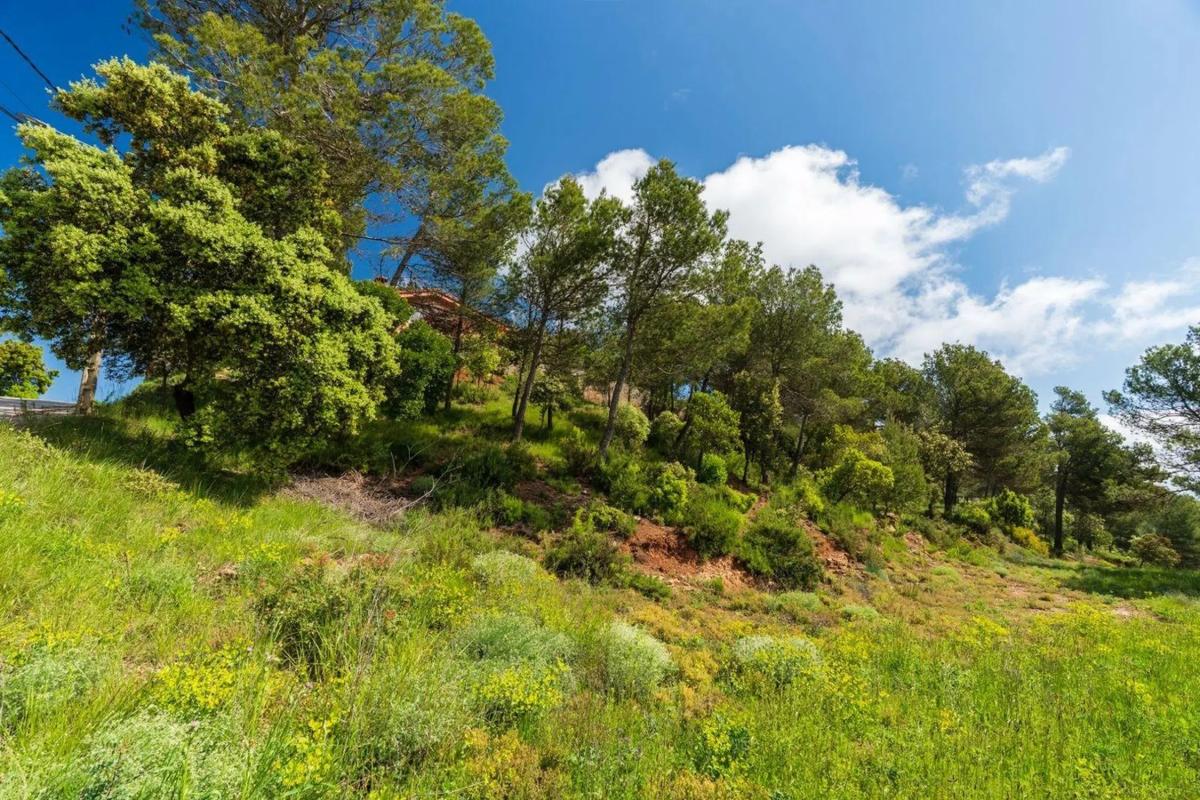 Działka na sprzedaż w Castellnou de Bages, Barcelona photo 5
