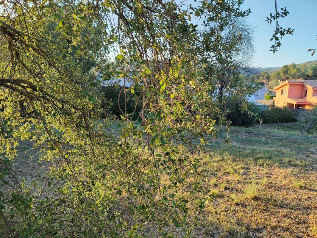 Terreno en venta en Fonollosa, Barcelona photo 5