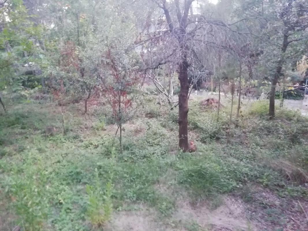 Terreno en venta en Castellnou de Bages, Barcelona photo 5