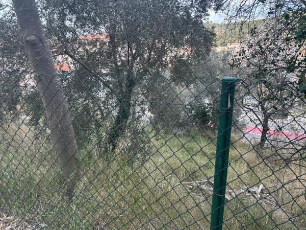 Terreno en calle Avet thumbnail 1