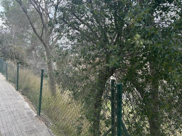 Terreno en calle Avet thumbnail 2