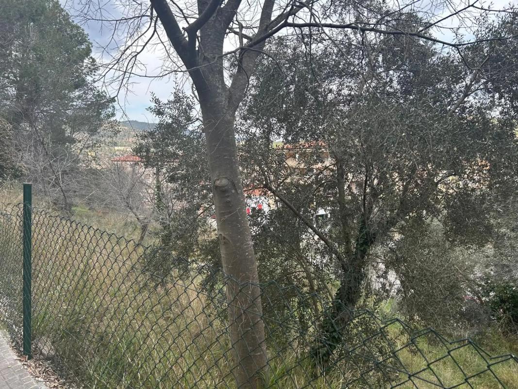 Terreno en venta en Monistrol de Montserrat, Barcelona photo 4