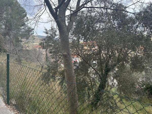 Terreno en calle Avet photo 4
