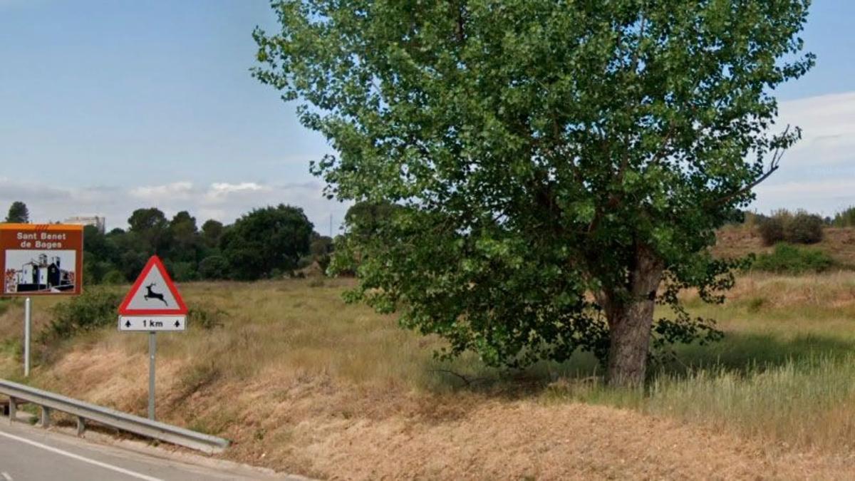 Terreno en venta en Sant Fruitós de Bages, Barcelona photo 3