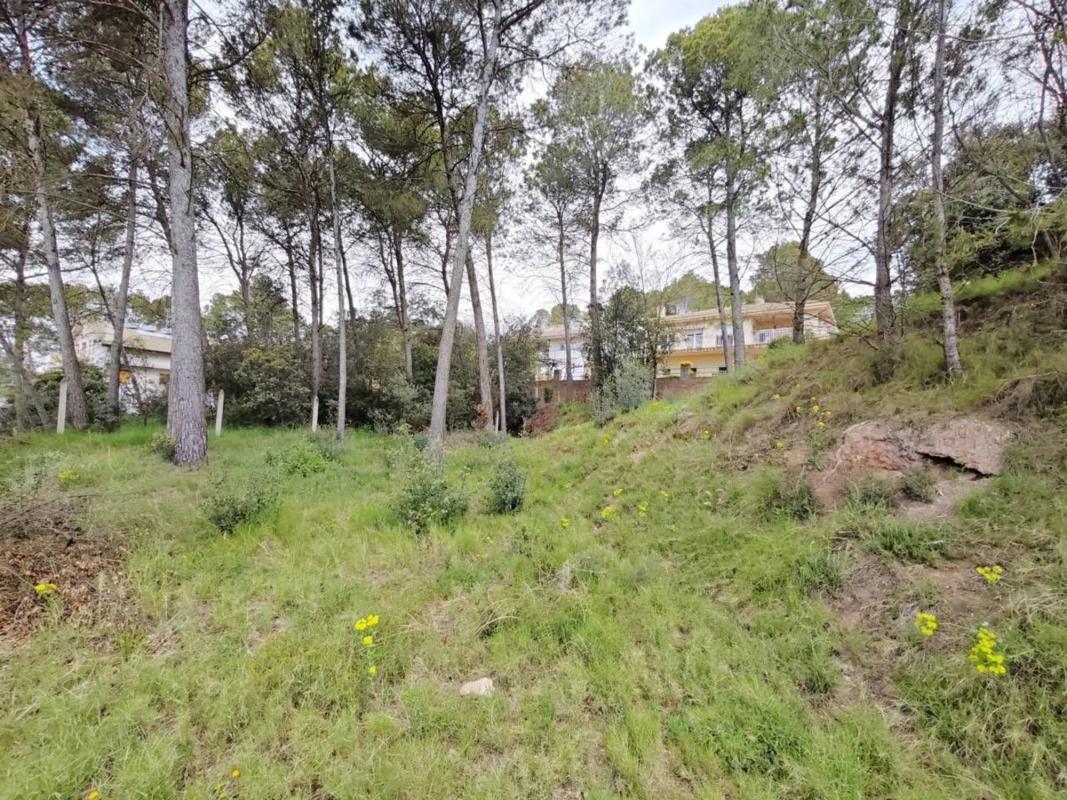 Terreno en venta en Santpedor, Barcelona photo 5