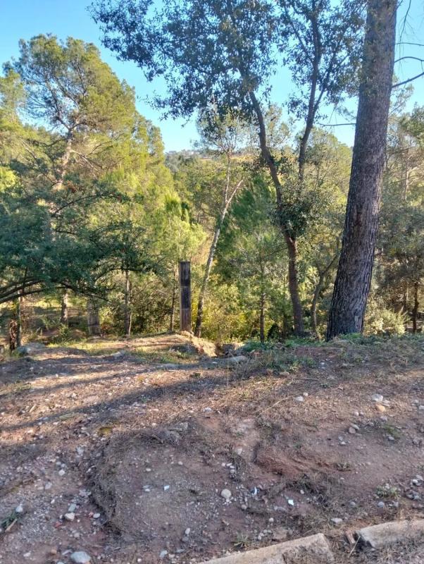 Terreno en venta en Castellnou de Bages, Barcelona photo 2