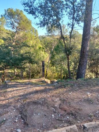 Terreno en Castellnou de Bages photo 2