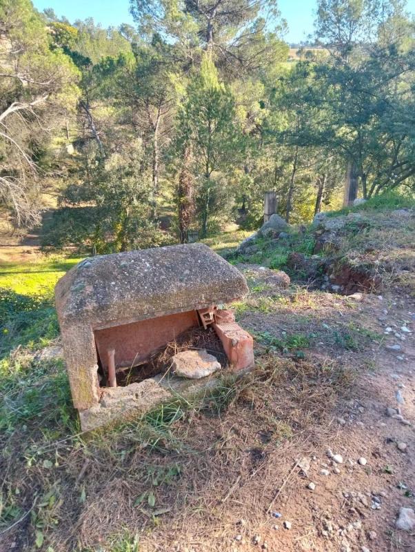Terreno en venta en Castellnou de Bages, Barcelona photo 3